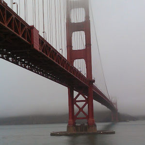 Meet your Posher, J. cattleya